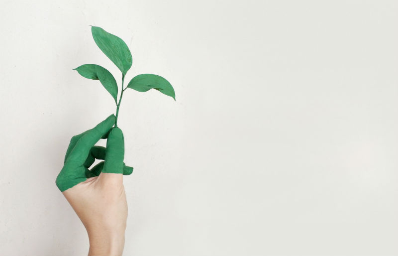 Imagem mostra uma mão pegando uma planta que representa como ser aluno sustentável
